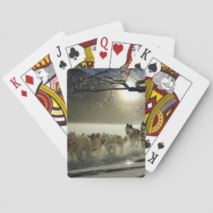 Alaskan Husky Dog Sled Race Playing Cards