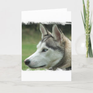 Alaskan Husky Greeting Card