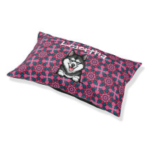 Alaskan Klee Kai breed with Name 