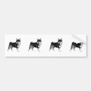 Alaskan Klee Kai Bumper Sticker