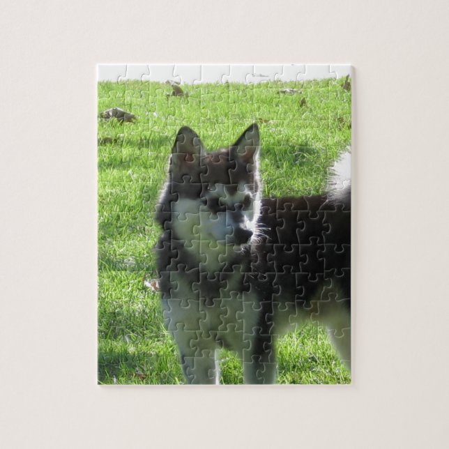 Alaskan Klee Kai Dog Jigsaw Puzzle (Vertical)