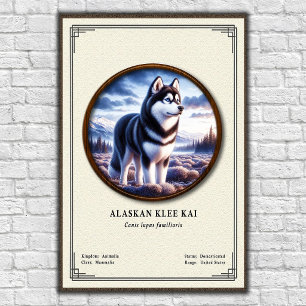 Alaskan Klee Kai Zoology Series Poster