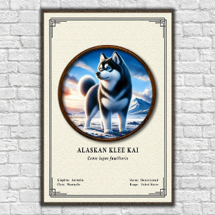 Alaskan Klee Kai Zoology Series Poster