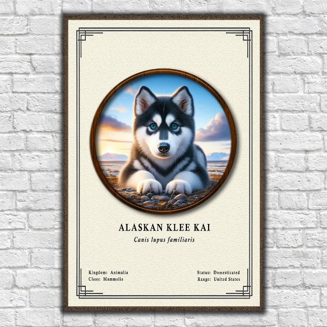 Alaskan Klee Kai Zoology Series Poster (Creator Uploaded)