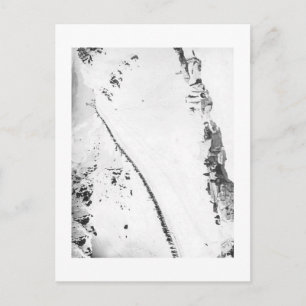 Alaskan Klondikers Postcard