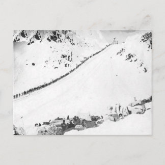 Alaskan Klondikers Postcard