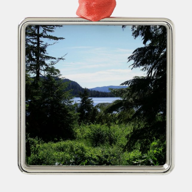 Alaskan Landscape Beautiful Alaska Photography Metal Tree Decoration (Front)