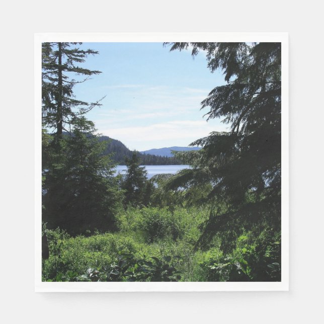 Alaskan Landscape Beautiful Alaska Photography Napkin (Front)