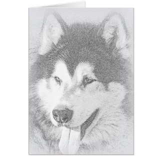 Alaskan Malamute