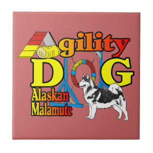 Alaskan Malamute Agility Tile