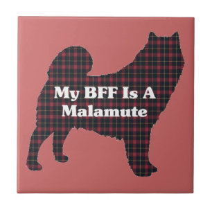 Alaskan Malamute BFF Tile