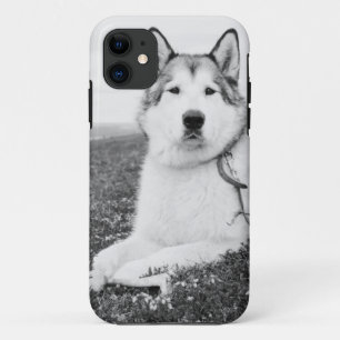 alaskan-malamute bw.png iPhone 11 case