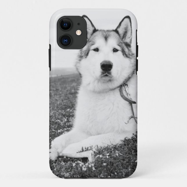 alaskan-malamute bw.png Case-Mate iPhone case (Back)