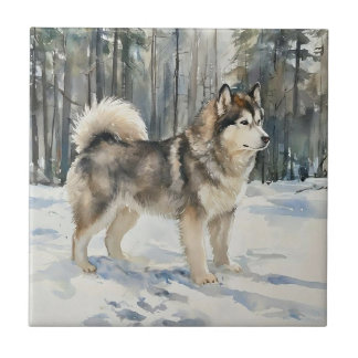 Alaskan Malamute Ceramic Tile
