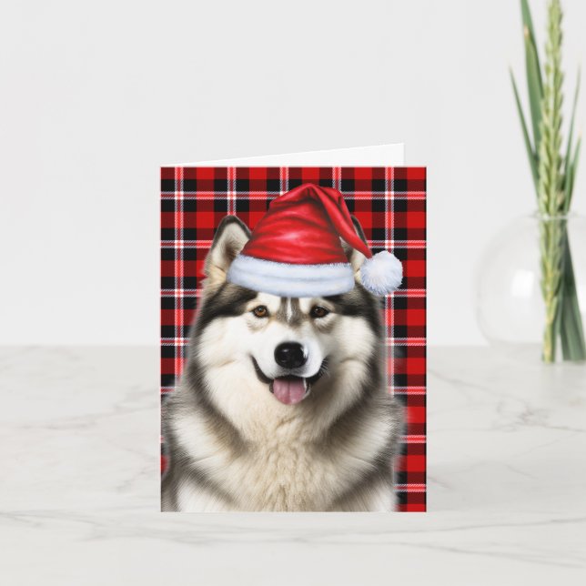 Alaskan Malamute Christmas Dog Holiday Plaid (Front)