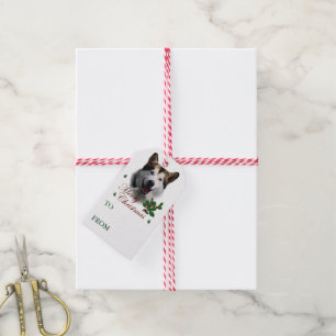 Alaskan Malamute Christmas Gift Tags