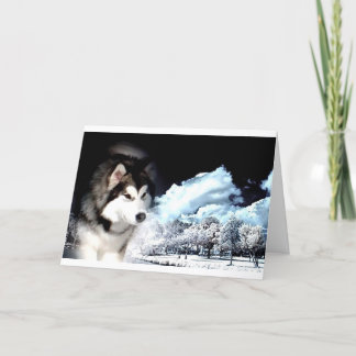 Alaskan Malamute Christmas greeting Holiday Card