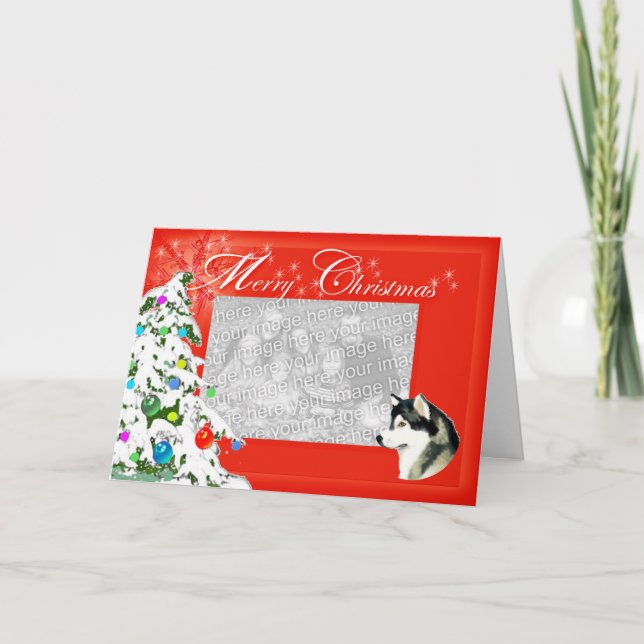 Alaskan Malamute Christmas Photocard Holiday Card (Front)