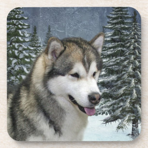 Alaskan Malamute Coasters