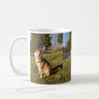 Alaskan Malamute Coffee Mug