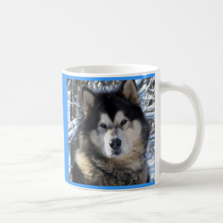 Alaskan Malamute Coffee Mug