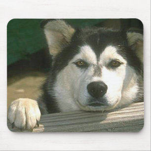 Alaskan Malamute - Customised Mouse Pad