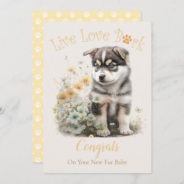 Alaskan Malamute Dog Adoption, Gotcha Day Card (Front/Back)
