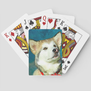 Alaskan Malamute Dog Art Playing Cards
