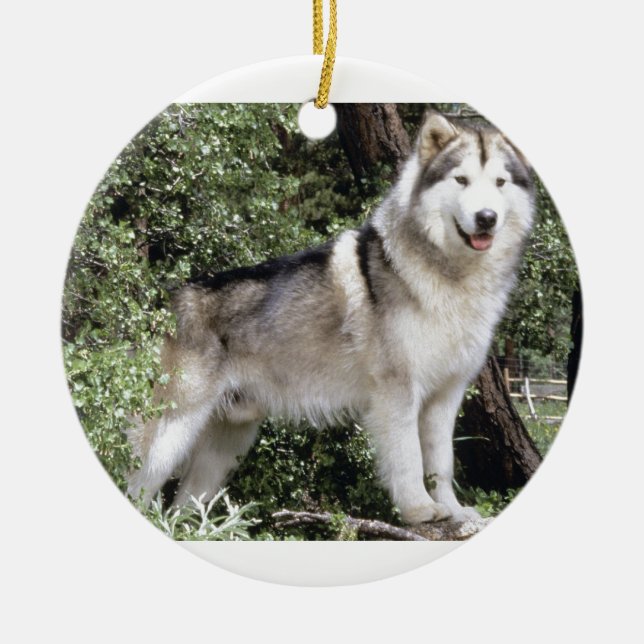 Alaskan Malamute Dog Ceramic Tree Decoration (Front)
