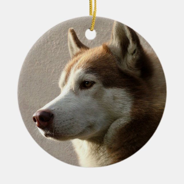 Alaskan Malamute Dog Ceramic Tree Decoration (Front)