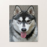 Alaskan Malamute Dog Face Photo
