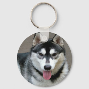 Alaskan Malamute Dog Photograph Key Ring