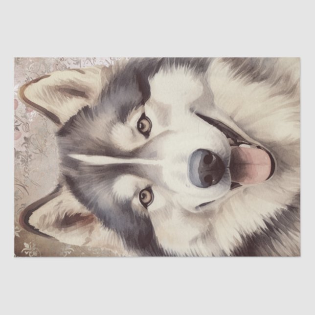 Alaskan Malamute Dog Tissue Paper (Front)