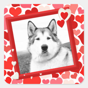Alaskan Malamute Dog Valentines Heart Square Sticker