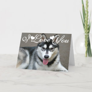 Alaskan Malamute Dogs I Love You Card