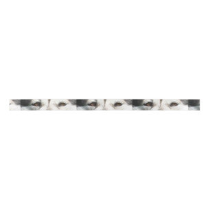 alaskan malamute eyes.png satin ribbon