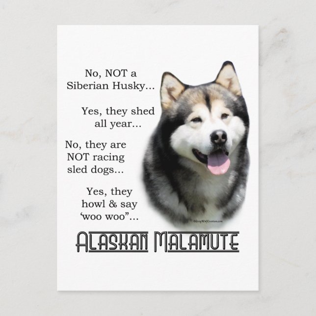Alaskan Malamute FAQ Postcard (Front)