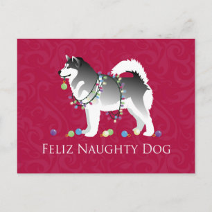 Alaskan Malamute Feliz Naughty Dog Christmas Holiday Postcard