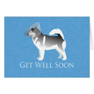 Alaskan Malamute Get Well Soon Card