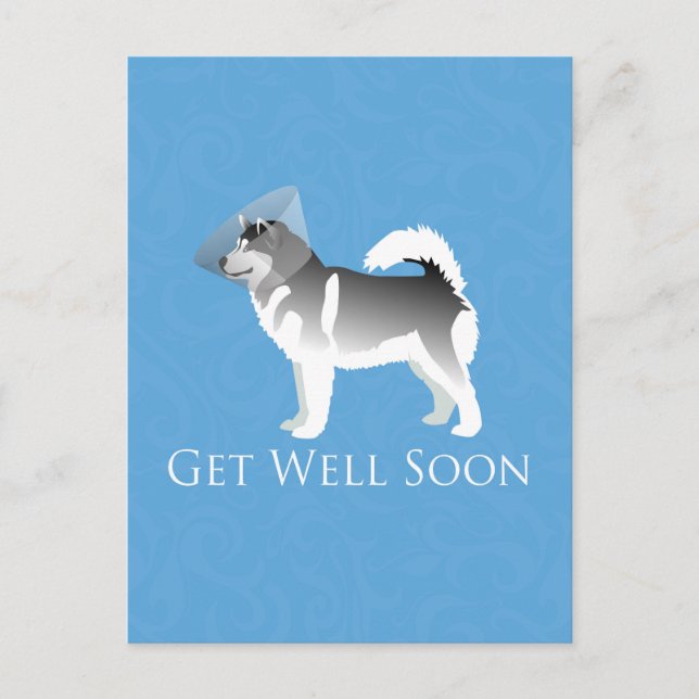Alaskan Malamute Get Well Soon Design Postcard (Front)
