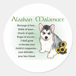 Alaskan Malamute Gifts Classic Round Sticker