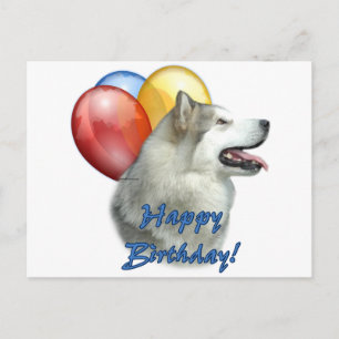 Alaskan Malamute Happy Birthday Balloons Postcard