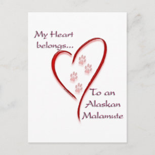 Alaskan Malamute Heart Belongs Postcard