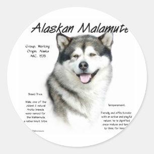 Alaskan Malamute History, All about Malamutes Classic Round Sticker