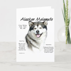Alaskan Malamute History, All about Malamutes Holiday Card