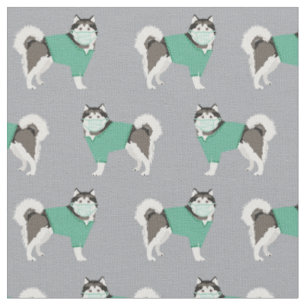 alaskan malamute in scrubs grey fabric