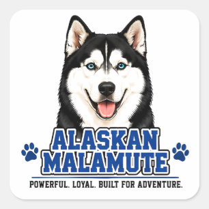 🐾 Alaskan Malamute Lover 🐾 Square Sticker
