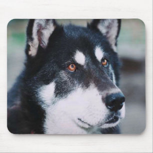 Alaskan Malamute Mouse Pad
