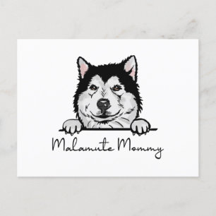 Alaskan Malamute Mummy Postcard