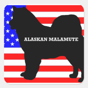 alaskan malamute name silo on flag square sticker